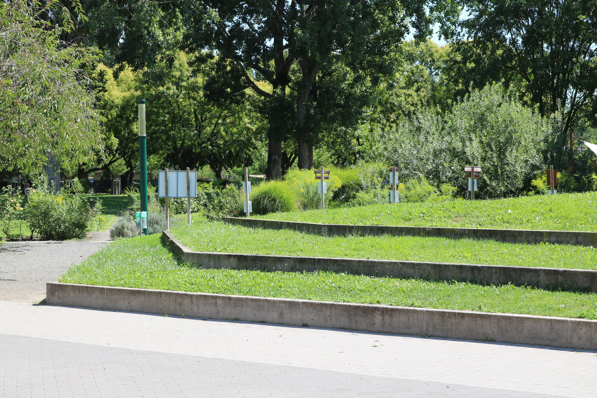 Gondozott növényzet és sétány a Teleki téri parkban